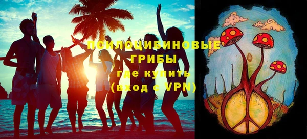 дмт Кукмор