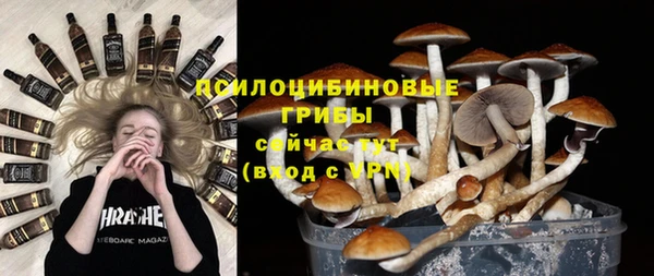 дмт Кукмор